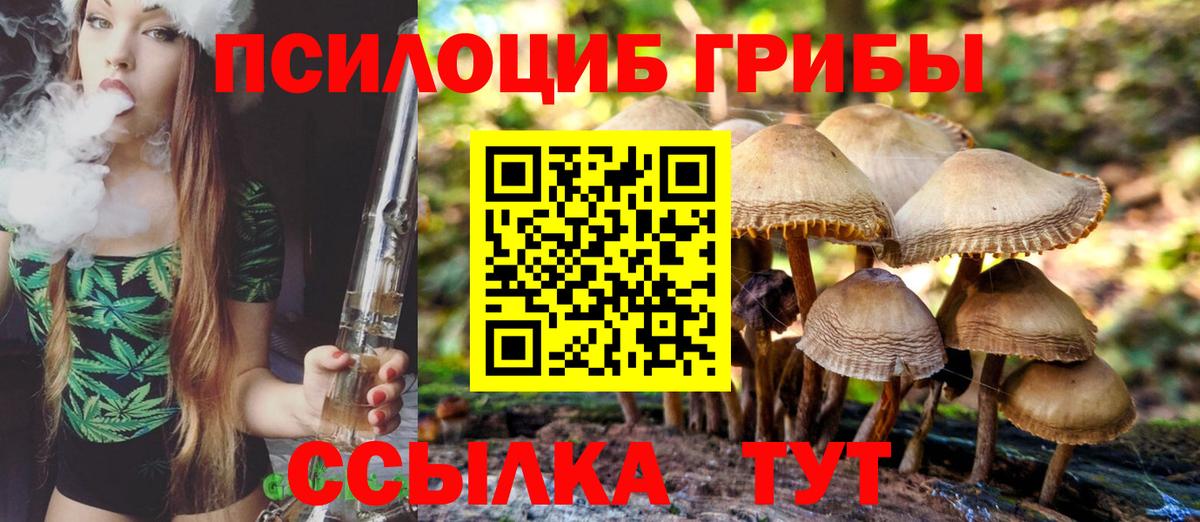 Котельники  Псилоцибиновые грибы ЛСД  Вход с VPN  дарнет шоп  Галлюциногенные грибы прущие грибы 