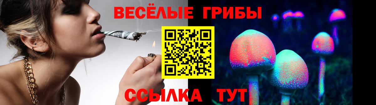 Галлюциногенные грибы мицелий Котельники
